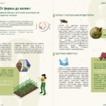 Farm to Table Journey «От фермы до вилки»