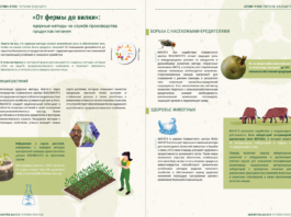 Farm to Table Journey «От фермы до вилки»