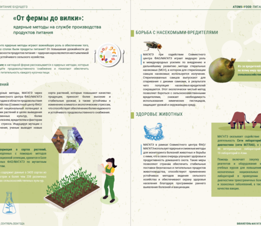 Farm to Table Journey «От фермы до вилки»