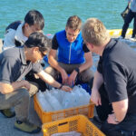 IAEA Begins New Measures at Sea Near Fukushima Plant IAEA Initiates First Practical Steps of Additional Measures at Sea Near Fukushima Daiichi Nuclear Power Station