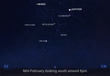 NASA’s February 2025 Skywatching Guide Highlights An illustrated sky chart shows the evening sky in mid-February, facing south around 8pm. Jupiter is marked as a bright white dot near the top, right of center. Mars is a slightly smaller dot at top, left of center. Across the center of the chart are the winter constellations Orion, Taurus, and Gemini, plus the bright star Sirius.