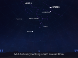 NASA’s February 2025 Skywatching Guide Highlights An illustrated sky chart shows the evening sky in mid-February, facing south around 8pm. Jupiter is marked as a bright white dot near the top, right of center. Mars is a slightly smaller dot at top, left of center. Across the center of the chart are the winter constellations Orion, Taurus, and Gemini, plus the bright star Sirius.