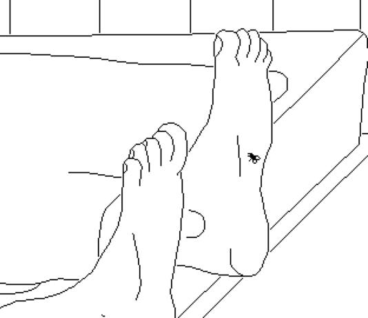 Time Flies launching on PS5 July 31 Time Flies lands on PS5 on July 31