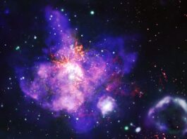 NASA’s Celestial Floral Arrangement An image of 30 Doradus, or the Tarantula Nebula, looks like a bouquet of purple flowers with orange stamens. Types of data are represented in different colors: X-ray data from NASA’s Chandra X-ray Observatory is blue and green, optical data from NASA’s Hubble Space Telescope is yellow, and radio data from the Atacama Large Millimeter/submillimeter Array is orange. There is a purple and green bubble-like shape at bottom right. This is a superbubble.