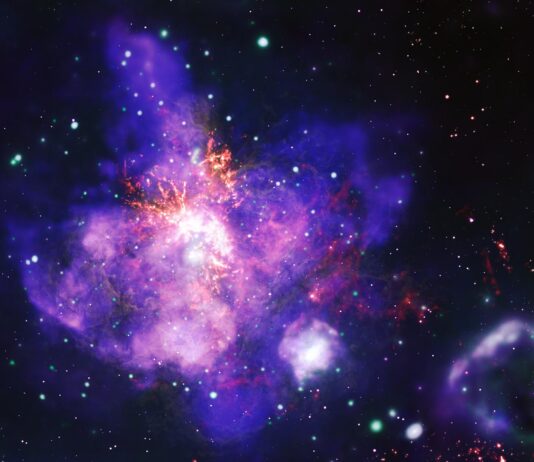 NASA’s Celestial Floral Arrangement An image of 30 Doradus, or the Tarantula Nebula, looks like a bouquet of purple flowers with orange stamens. Types of data are represented in different colors: X-ray data from NASA’s Chandra X-ray Observatory is blue and green, optical data from NASA’s Hubble Space Telescope is yellow, and radio data from the Atacama Large Millimeter/submillimeter Array is orange. There is a purple and green bubble-like shape at bottom right. This is a superbubble.