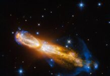 NASA Discovers Uncommon Gourd A Rare Gourd - NASA