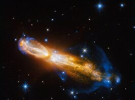 NASA Discovers Uncommon Gourd A Rare Gourd - NASA