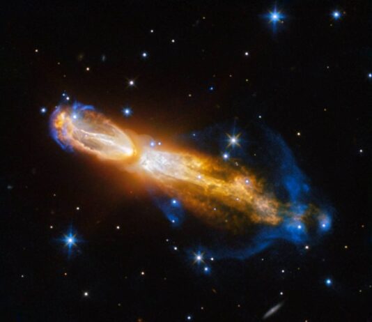 NASA Discovers Uncommon Gourd A Rare Gourd - NASA