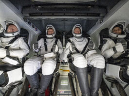 NASA Celebrates Crew-9’s Return Home Four people in white spacesuits, white helmets, and black boots give a thumbs up from inside a SpaceX Dragon spacecraft.