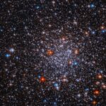 Hubble Sheds Light on Elusive Globular Cluster – NASA Bright stars cluster against a black background. The stars are more densely concentrated in the center of the image. The stars appear mostly white, but bright red and blue stars are also visible sprinkled throughout the image.