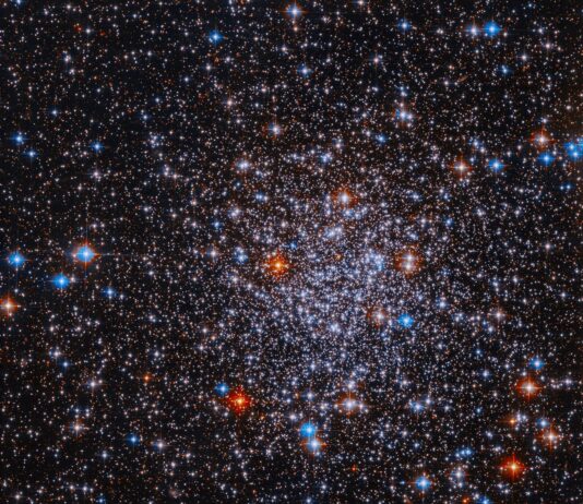 Hubble Sheds Light on Elusive Globular Cluster – NASA Bright stars cluster against a black background. The stars are more densely concentrated in the center of the image. The stars appear mostly white, but bright red and blue stars are also visible sprinkled throughout the image.