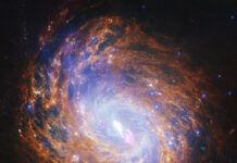 NASA’s Telescopes Capture Stunning Images of Spiral Galaxy A gold and blue spiral galaxy swirls in the darkness of space. There is a bright spot of light at its center.