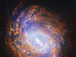 NASA’s Telescopes Capture Stunning Images of Spiral Galaxy A gold and blue spiral galaxy swirls in the darkness of space. There is a bright spot of light at its center.