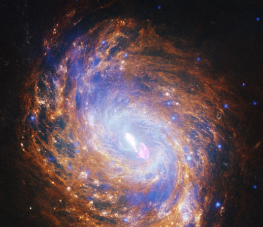 NASA’s Telescopes Capture Stunning Images of Spiral Galaxy A gold and blue spiral galaxy swirls in the darkness of space. There is a bright spot of light at its center.