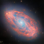 Webb discovers new features in neighboring spiral galaxy – NASA A spiral galaxy, seen tilted diagonally. It has a blue-white, glowing spot at its core. Its oval-shaped disc glows faintly blue throughout with light from its many stars. The disc is filled with waves and strands of bright red dust that swirl around the core. At places there are holes torn in the dust, while elsewhere it forms dense clumps that glow orange. Several tiny, distant galaxies appear across the background.