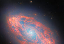 Webb discovers new features in neighboring spiral galaxy – NASA A spiral galaxy, seen tilted diagonally. It has a blue-white, glowing spot at its core. Its oval-shaped disc glows faintly blue throughout with light from its many stars. The disc is filled with waves and strands of bright red dust that swirl around the core. At places there are holes torn in the dust, while elsewhere it forms dense clumps that glow orange. Several tiny, distant galaxies appear across the background.