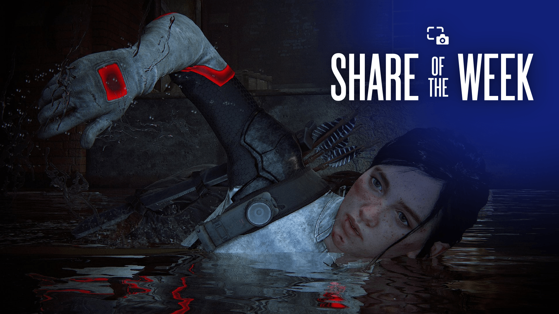 Share of the Week: Swim