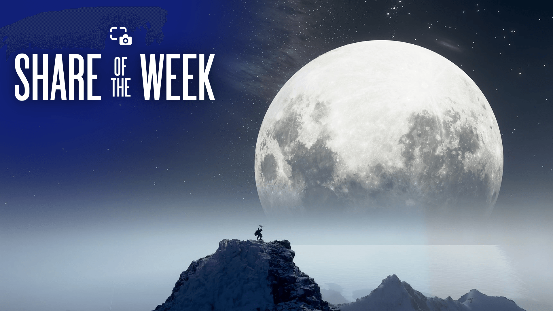 Share of the Week: Zoomed Out