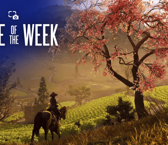 Assassin’s Creed Shadows: Unique Landscape Perspectives Explored Share of the Week: Assassin’s Creed Shadows – Landscapes