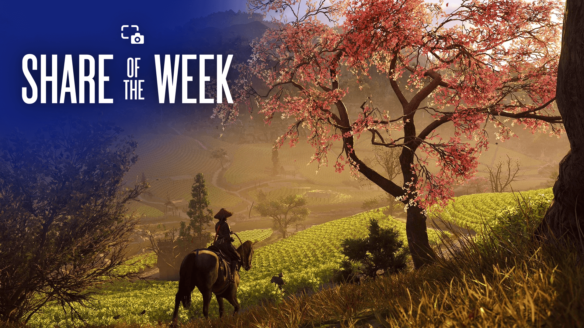 Share of the Week: Assassin’s Creed Shadows – Landscapes