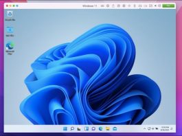 How To Run Older Software On Windows 11