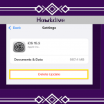 How To Delete iOS Update On iPhone?