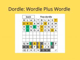 Everything You Need To Know About Dordle Dordle