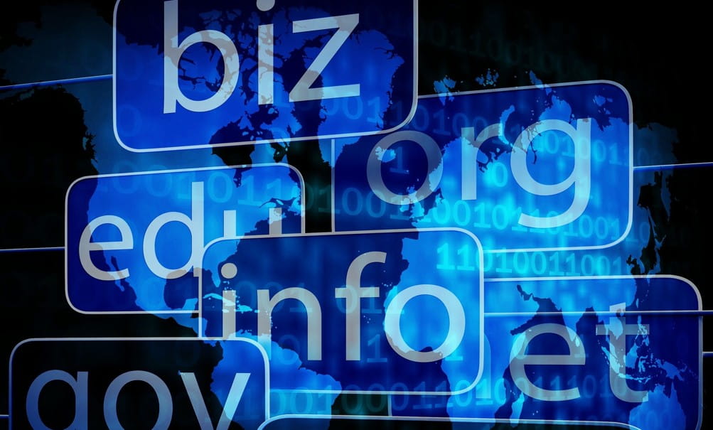 How to find out who owns a domain name- step-by-step tutorial