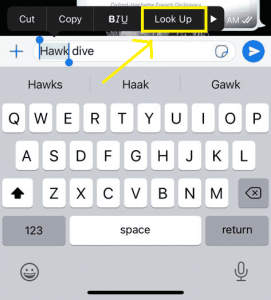How-to-use-iPhone-built-in-dictionary