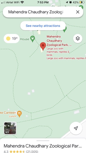 Google Maps in iOS
