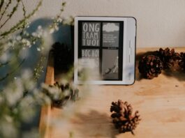 Kindle Vs Kobo: Which One Is better Kindle Vs Kobo: Which One Is better