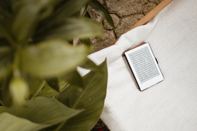 Kindle Vs Kobo: Which One Is better