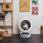 7 Weird Gadgets Bought Online In 2023 7 Weird Gadgets Bought Online In 2023