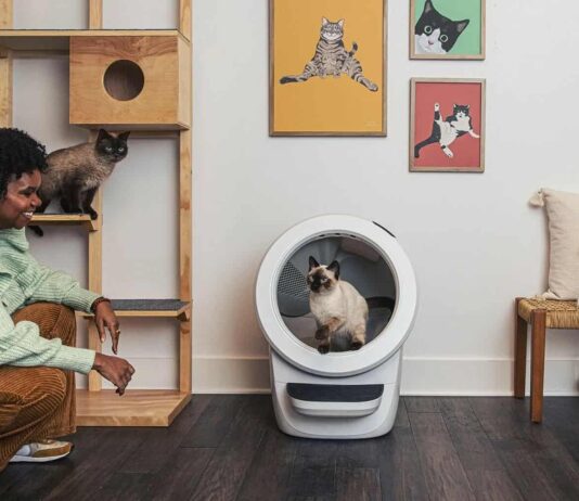 7 Weird Gadgets Bought Online In 2023 7 Weird Gadgets Bought Online In 2023