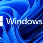 Network Sharing Not Working In Windows 11? Apply These Fixes Network sharing not working in Windows 11