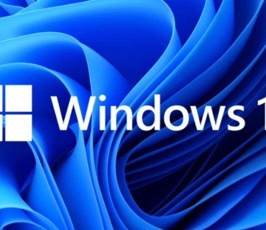 Network Sharing Not Working In Windows 11? Apply These Fixes Network sharing not working in Windows 11