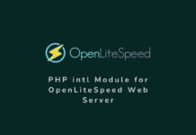 How to Install PHP Intl module on OneClick OpenliteSpeed WordPress Web server? Install PHP intl Module on OpenliteSpeed WebServer