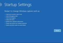 Astronaut Don Pettit and team’s return covered by NASA How To Fix Blue Screen Crashes In Windows 10?