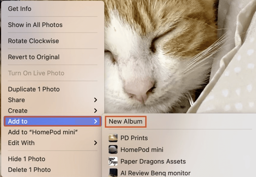 How To Manage Albums In Photos For MacOs?