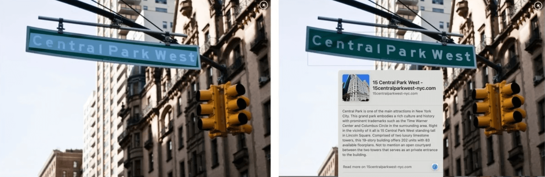 How To Use Live Text Feature In Photos On MacOS Monterey?