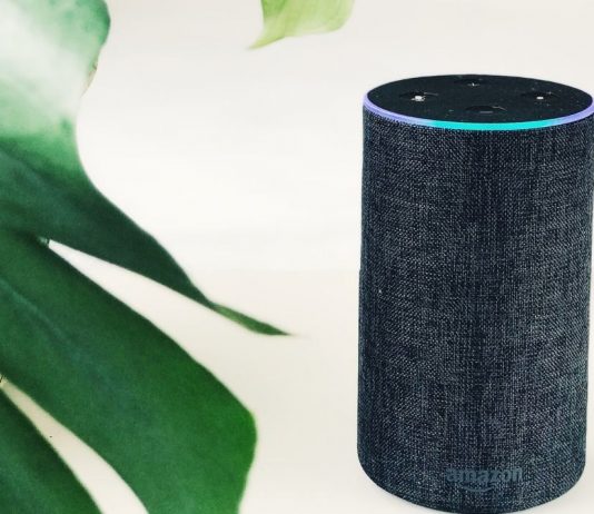 How To Set Up Amazon Echo For Multiple Users set up Amazon Echo for Multiple Users