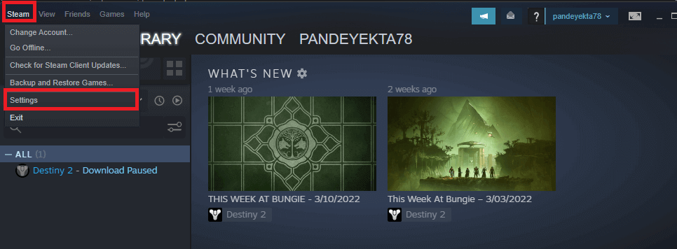 disable auto-updates on Steam
