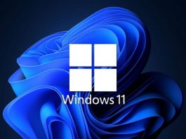 100% Disk Usage In Windows 11 – Fixed 100% disk usage in Windows 11