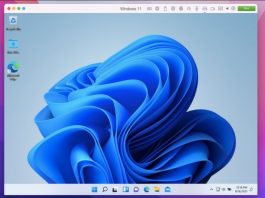 How To Run Windows 11 On Mac