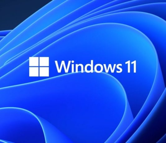 How To Flush DNS Cache In Windows 11