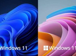 Windows 11 SE vs Windows 11: A detailed comparison