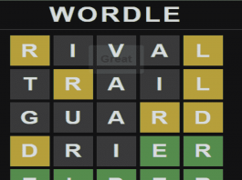 5 Reasons- One Should Never Try Wordle reasons-to-never-try-Wordle