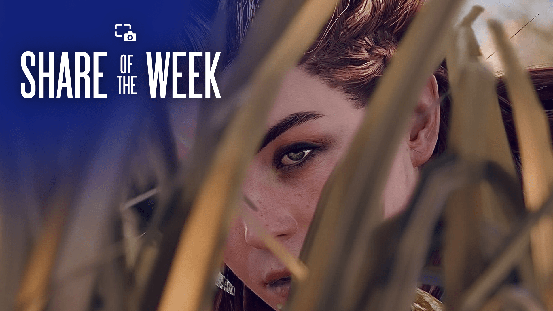 a58b74bf1f58431e5f94ff2812de89f3e3e9e39f.png Share of the Week: Stealth