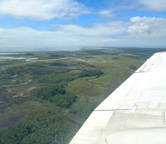NASA Planes Conduct Science Missions for Air Quality Data The image shows an aerial view of the Chesapeake Bay, with groves of trees, rivers, a body of water in the distance, and green land. The horizon, a third of the way down the image, separates the blue cloudy sky from the land. On the right of the image is a white wing of a plane.