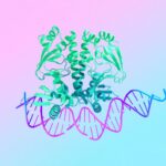 Google’s AlphaFold 3: Unlocking The Secrets Of Life’s Molecular Interactions AlphaFold 3 predicts the structure and interactions of all of life’s molecules